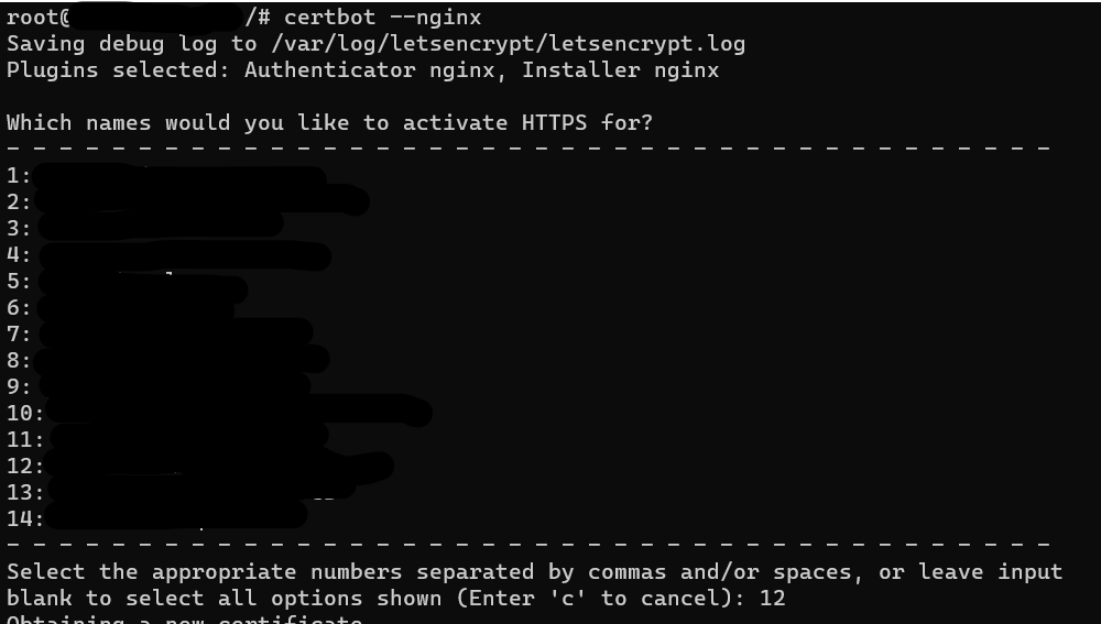 Configurar Nginx como Reverse Proxy + Certbot con Docker